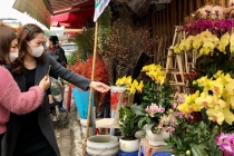 Dự báo thời tiết ngày 14/2: Bắc Bộ sáng sớm có sương mù nhẹ rải rác, mưa nhỏ vài nơi