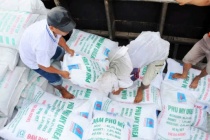 Xuất khẩu phân bón tăng hơn 70% ngay tháng đầu năm 2026