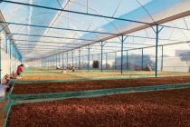 Xuất khẩu nông sản khởi sắc đầu năm 2026, mở rộng triển vọng tăng trưởng