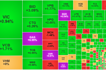 Chứng khoán Việt tưng bừng ngay sau Tết