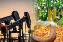 Dự án Luật Giao dịch hàng hóa phái sinh: Tạo nền tảng pháp lý cho thị trường phòng ngừa rủi ro giá