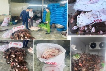 Thanh Hóa: Bắt gần 6 tấn thực phẩm hôi thối chuẩn bị tuồn vào thị trường 