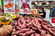 Người Nhật chi hơn 6.000 tỷ đồng mua rau quả Việt: Hoa cúc, chuối và khoai lang chiếm ưu thế