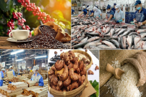 Nông sản Việt hướng tới mục tiêu xuất khẩu 100 tỷ USD