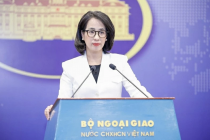 Việt Nam phản đối các hành vi sử dụng vũ lực tấn công vào các quốc gia có chủ quyền