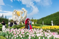 Du khách miền Trung – Tây Nguyên nô nức trẩy hội Bà Nà Hills