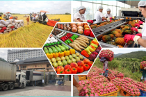 Xuất khẩu nông lâm thủy sản bứt phá trong 2 tháng đầu năm 2026