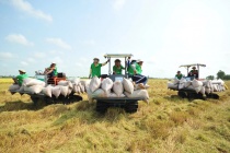 Nông sản Việt đối mặt 'thử thách kép', Thủ tướng ra chỉ đạo khẩn