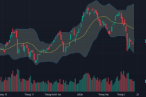 Cổ phiếu DGC bị bán tháo sau cú sốc khởi tố Chủ tịch Đào Hữu Huyền