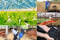 Ngành nông nghiệp chủ động chuyển đổi xanh để 'vượt sóng' biến động toàn cầu