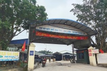 Vụ tiêu thụ 300 tấn lợn bệnh: Cục Chăn nuôi và Thú y sẽ lập đoàn kiểm tra các cơ sở giết mổ 