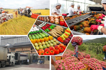 Nông sản Việt và bài toán xây dựng thương hiệu giá trị cao trên toàn cầu