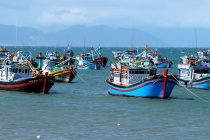 Tập trung triển khai Hệ thống eCDT: Giải pháp then chốt để gỡ “thẻ vàng” IUU