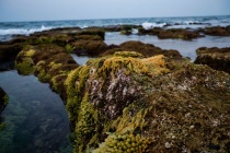 Đảo tiền tiêu Cồn Cỏ - “viên ngọc thô” của tỉnh Quảng Trị