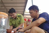 Thanh Hóa: Thu giữ 23 cây muội hồng không rõ nguồn gốc tại nhà dân