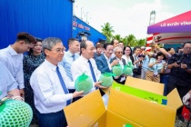 Việt Nam xuất khẩu chính ngạch lô bưởi da xanh đầu tiên sang Australia