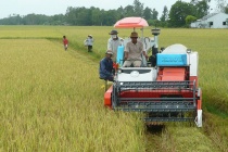 Cơ giới hóa là xu hướng tất yếu trong quá trình phát triển nông nghiệp hiện đại