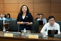 Đại biểu Quốc hội: Cần đầu tư vào nghệ nhân – những 'báu vật nhân văn sống'