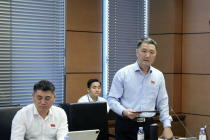 ĐBQH Bùi Văn Mạnh: Ngành công nghiệp văn hoá mới ở giai đoạn sơ khai