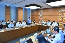 ĐBQH Tô Ái Vang: Tăng cường hỗ trợ nghệ nhân để tránh dứt gãy truyền thừa di sản