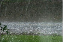 Thời tiết ngày 25/4: Nhiều nơi có mưa