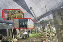 Thanh Hóa: Thu giữ 122 cây muội hồng không rõ nguồn gốc tại nhà dân