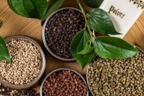 Thị trường nội địa ổn định, xuất khẩu tiêu sang Mỹ tăng vọt gần 61%