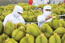 Xuất khẩu rau quả đạt hơn 2 tỷ USD sau 4 tháng 