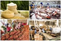Xuất khẩu nông lâm thủy sản đạt 23 tỷ USD trong 4 tháng