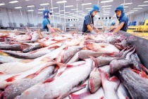 Ngành thủy sản tháo gỡ điểm nghẽn, hướng đến mục tiêu 12 tỷ USD