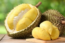 Quy định SPS trở thành “giấy thông hành” cho nông sản xuất khẩu