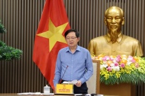 Xử lý nghiêm hành vi mua bán mã số vùng trồng, bảo vệ uy tín nông sản Việt