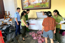 Thanh Hóa: Phát hiện 290 cá thể cò hương cấp đông chờ đưa đi tiêu thụ