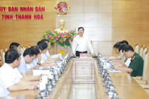 Thanh Hóa: Cần quan tâm đảm bảo hành lang lưới điện trong mùa mưa bão sắp tới 