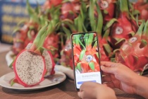 Truy xuất nguồn gốc nông sản: “Hạ tầng mềm” để bứt phá xuất khẩu bền vững