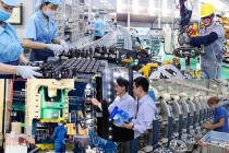 Thúc đẩy doanh nghiệp ứng dụng nền tảng số phục vụ quản trị, sản xuất, kinh doanh