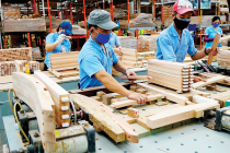 Ngành gỗ Việt tìm dư địa tăng trưởng, hướng đến mục tiêu 25 tỷ USD