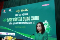 Khơi thông “dòng vốn xanh”, đòn bẩy đưa doanh nghiệp tiến tới Net Zero 2050
