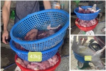 Thanh Hóa khởi tố 3 đối tượng mua bán, giết mổ lợn dịch bán ra thị trường