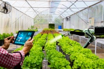 Phấn đấu đến năm 2030, cả nước có 500 tổ hợp tác ứng dụng công nghệ cao vào sản xuất