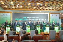 Việt Nam chính thức vận hành Sàn giao dịch carbon, hướng tới Net Zero 2050