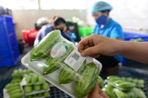 Bộ Công Thương tạm ngưng hiệu lực quy định truy xuất nguồn gốc thực phẩm đến hết 30/9