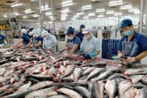 Lộ trình đưa xuất khẩu nông sản cán đích 100 tỷ USD vào năm 2027