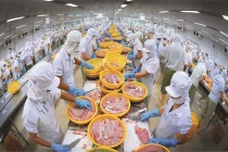 Ngành thủy sản Việt cần tháo gỡ 'điểm nghẽn' để bứt phá