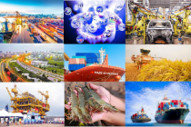 Tổng điều tra kinh tế 2026: Cơ sở hoạch định chiến lược chính sách phát triển bền vững