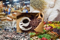 Xuất khẩu nông sản Việt đối mặt quy định SPS mới từ EU và Mỹ