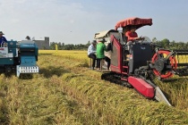 Thúc đẩy lúa gạo phát thải thấp, chìa khóa nâng tầm giá trị hạt gạo Việt