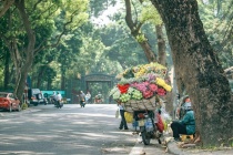 Dự báo thời tiết ngày 31/7: Bắc Bộ hửng nắng, có mưa dông về chiều tối