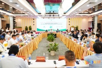Đà Nẵng thúc đẩy hợp tác quốc tế, đưa sâm Ngọc Linh vươn tầm thương hiệu toàn cầu