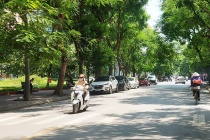 Dự báo thời tiết ngày và đêm 2/8: Bắc Bộ ngày nắng, chiều tối và đêm có mưa rào rải rác